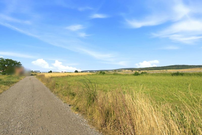 Gro�z�giges Baugrundst�ck mit eigener Zufahrt ? 1.175 m� und bis zu zwei Wohneinheiten /  / 2111&nbsp;Harmannsdorf / Bild 17